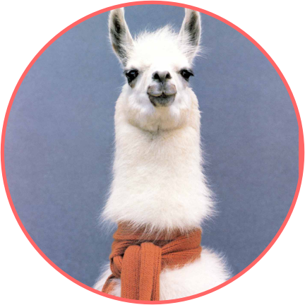 Llama Awesomeness