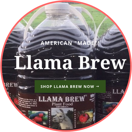 Llama Poop